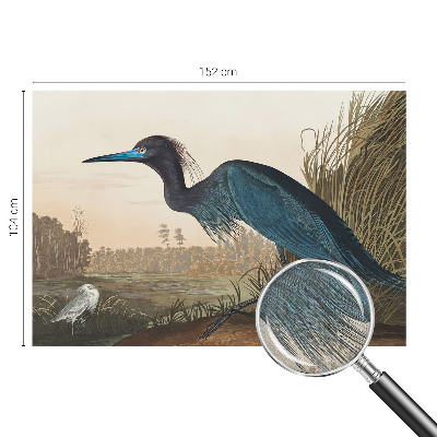 Carta da parati effetto profondità Uccelli acquatici