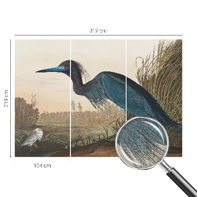 Carta da parati effetto profondità Uccelli acquatici