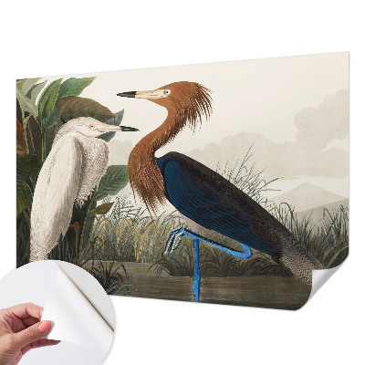 Carta da parati 3D Uccelli tra le piante