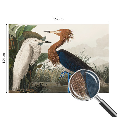 Carta da parati 3D Uccelli tra le piante