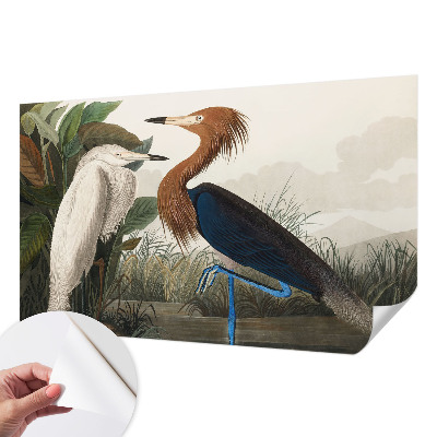 Carta da parati 3D Uccelli tra le piante