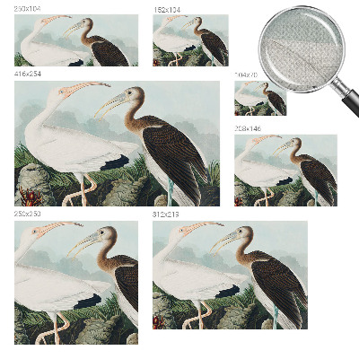 Fotomurale adesivo coppia di uccelli