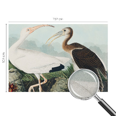 Fotomurale adesivo coppia di uccelli