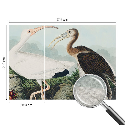 Fotomurale adesivo coppia di uccelli