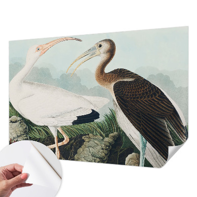 Fotomurale adesivo coppia di uccelli