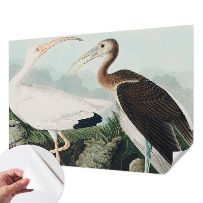 Fotomurale adesivo coppia di uccelli