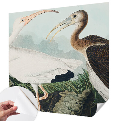 Fotomurale adesivo coppia di uccelli