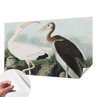 Fotomurale adesivo coppia di uccelli