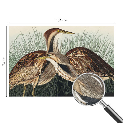 Fotomurale 3D Uccelli realistici