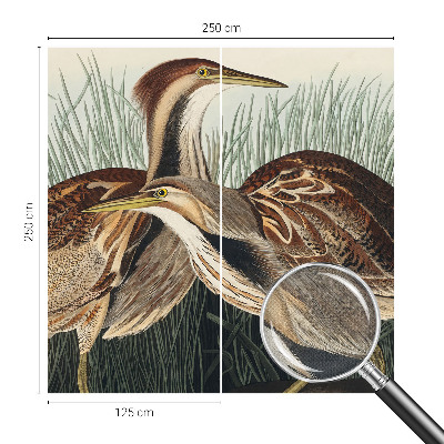 Fotomurale 3D Uccelli realistici