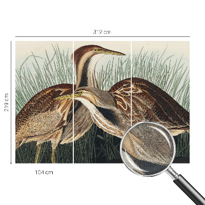 Fotomurale 3D Uccelli realistici