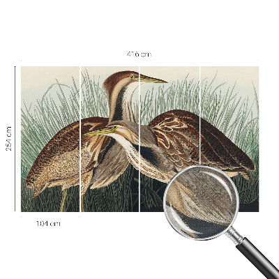 Fotomurale 3D Uccelli realistici