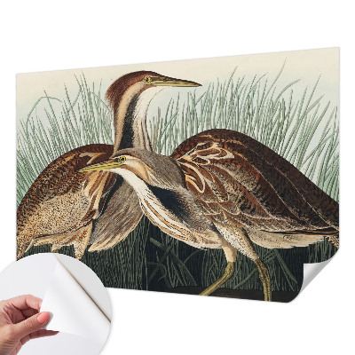 Fotomurale 3D Uccelli realistici