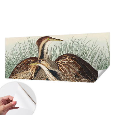 Fotomurale 3D Uccelli realistici