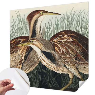 Fotomurale 3D Uccelli realistici