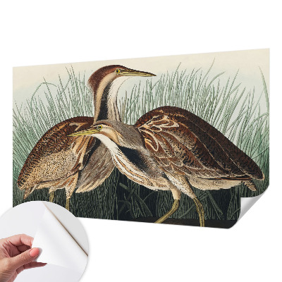Fotomurale 3D Uccelli realistici