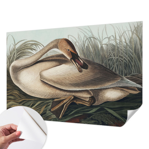 Fotomurale effetto 3D Uccello naturale