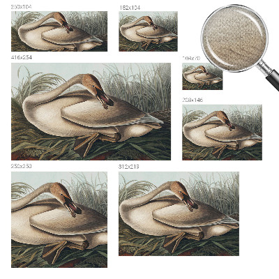 Fotomurale effetto 3D Uccello naturale