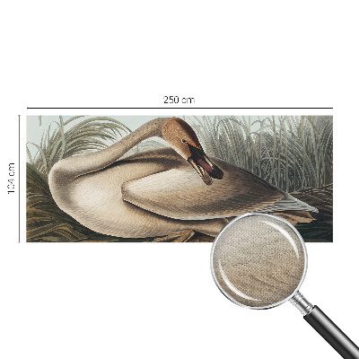 Fotomurale effetto 3D Uccello naturale