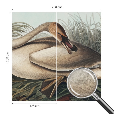 Fotomurale effetto 3D Uccello naturale