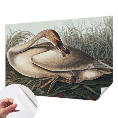 Fotomurale effetto 3D Uccello naturale