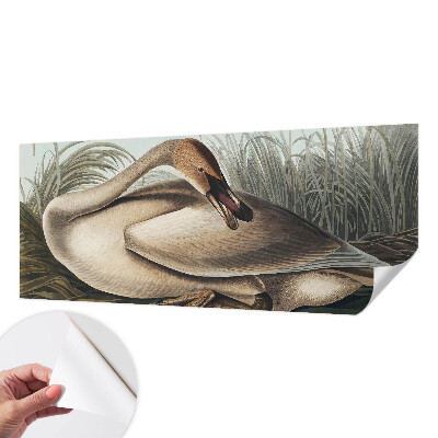 Fotomurale effetto 3D Uccello naturale