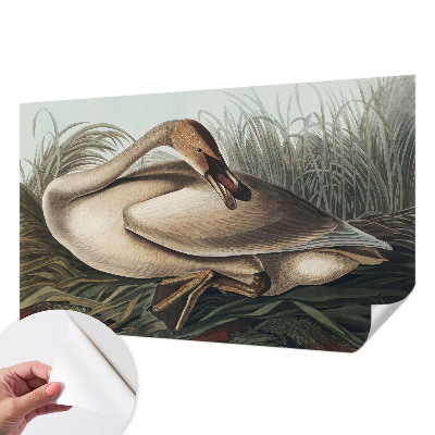 Fotomurale effetto 3D Uccello naturale