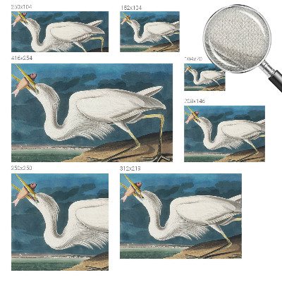 Carta da parati cameretta Uccello con pesce