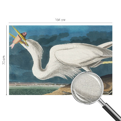 Carta da parati cameretta Uccello con pesce