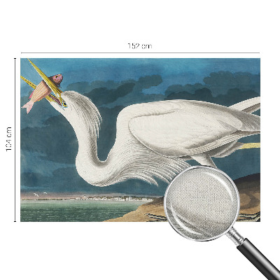 Carta da parati cameretta Uccello con pesce