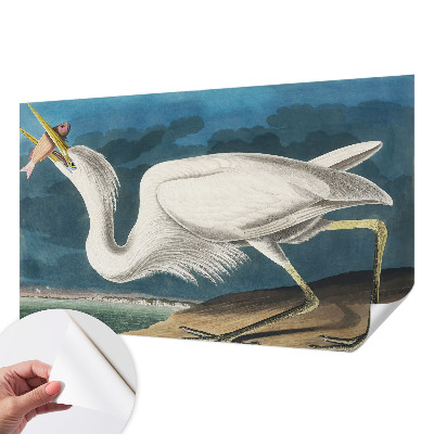 Carta da parati cameretta Uccello con pesce