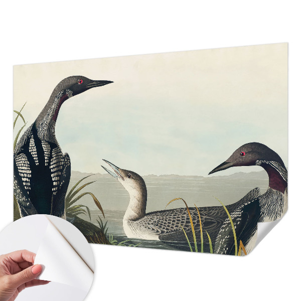 Carta da parati effetto profondità Uccelli sull'acqua