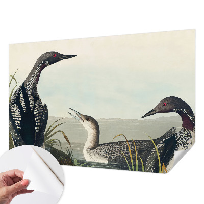 Carta da parati effetto profondità Uccelli sull'acqua