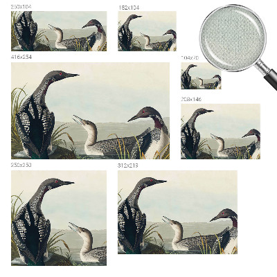 Carta da parati effetto profondità Uccelli sull'acqua