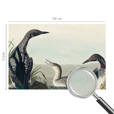 Carta da parati effetto profondità Uccelli sull'acqua