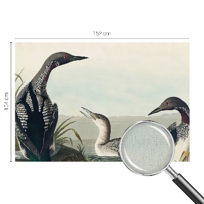 Carta da parati effetto profondità Uccelli sull'acqua