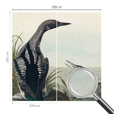 Carta da parati effetto profondità Uccelli sull'acqua