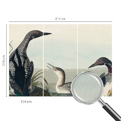 Carta da parati effetto profondità Uccelli sull'acqua