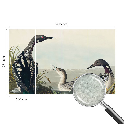 Carta da parati effetto profondità Uccelli sull'acqua