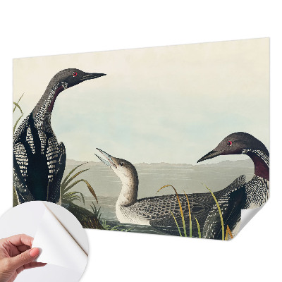 Carta da parati effetto profondità Uccelli sull'acqua