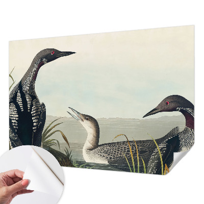 Carta da parati effetto profondità Uccelli sull'acqua