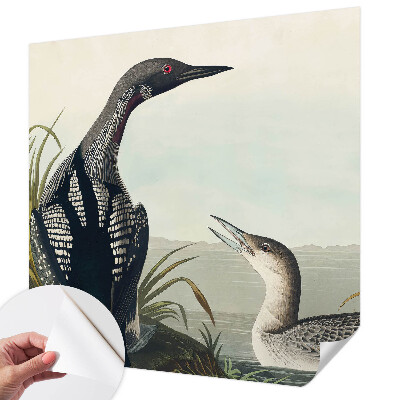 Carta da parati effetto profondità Uccelli sull'acqua