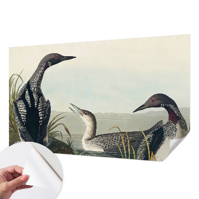 Carta da parati effetto profondità Uccelli sull'acqua