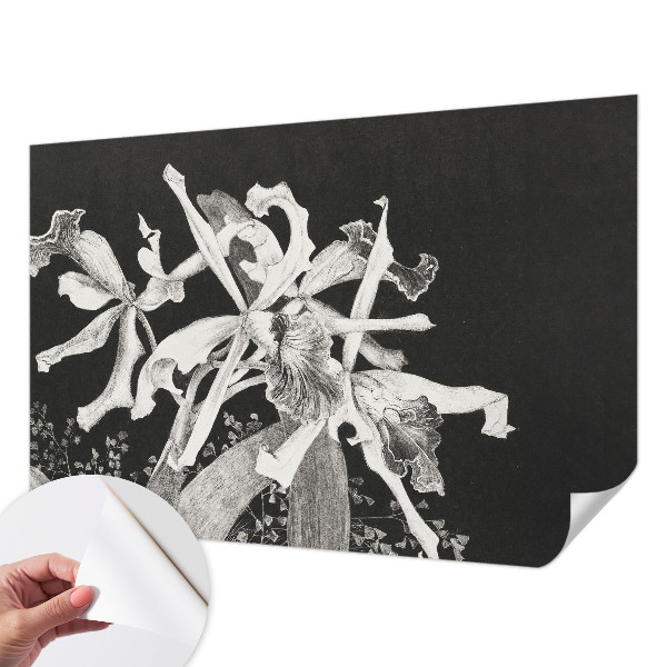 Carta da parati cameretta Illustrazione di un'orchidea