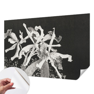 Carta da parati cameretta Illustrazione di un'orchidea