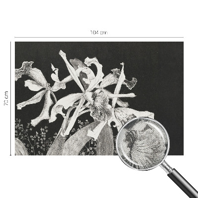 Carta da parati cameretta Illustrazione di un'orchidea