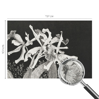 Carta da parati cameretta Illustrazione di un'orchidea