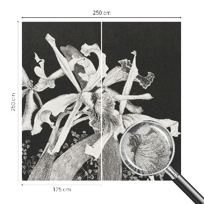 Carta da parati cameretta Illustrazione di un'orchidea