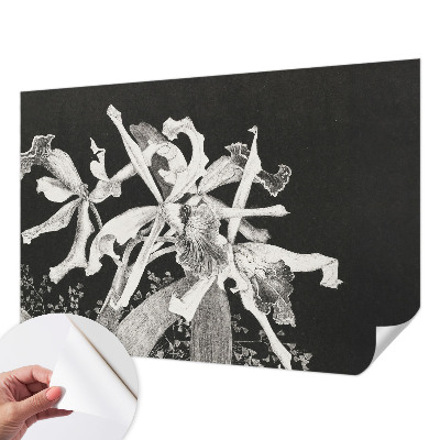 Carta da parati cameretta Illustrazione di un'orchidea