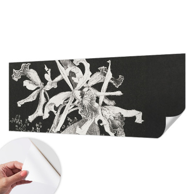 Carta da parati cameretta Illustrazione di un'orchidea